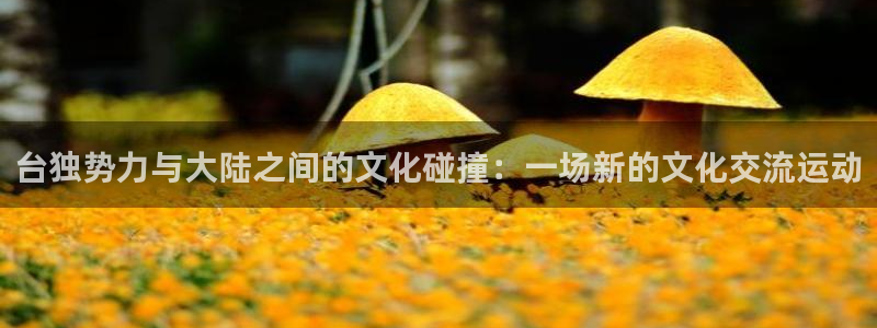 意昂2代理注册：台独势力与大陆之间的文化碰撞：一场新的文化交流运动