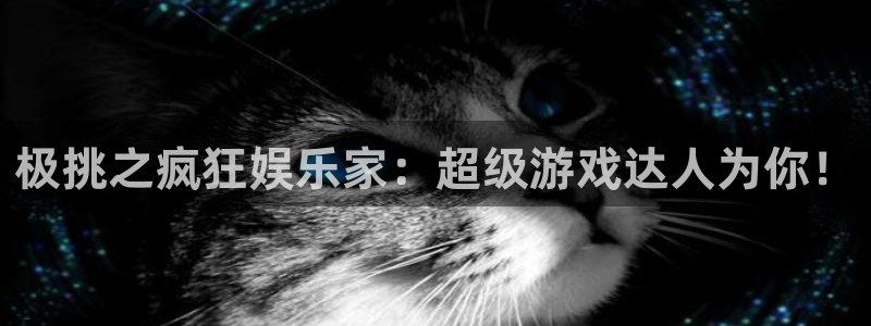 意昂2登录：极挑之疯狂娱乐家：超级游戏达人为你！