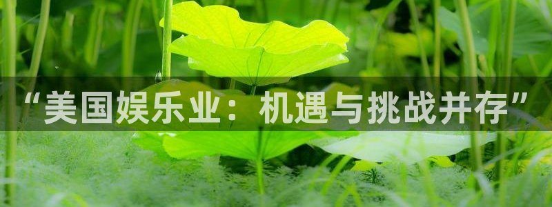 意昂2登录：“美国娱乐业：机遇与挑战并存”