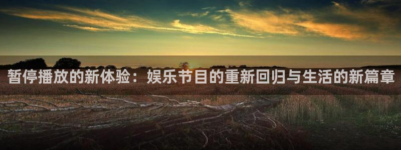 意昂2登录：暂停播放的新体验：娱乐节目的重新回归与生活的新篇章